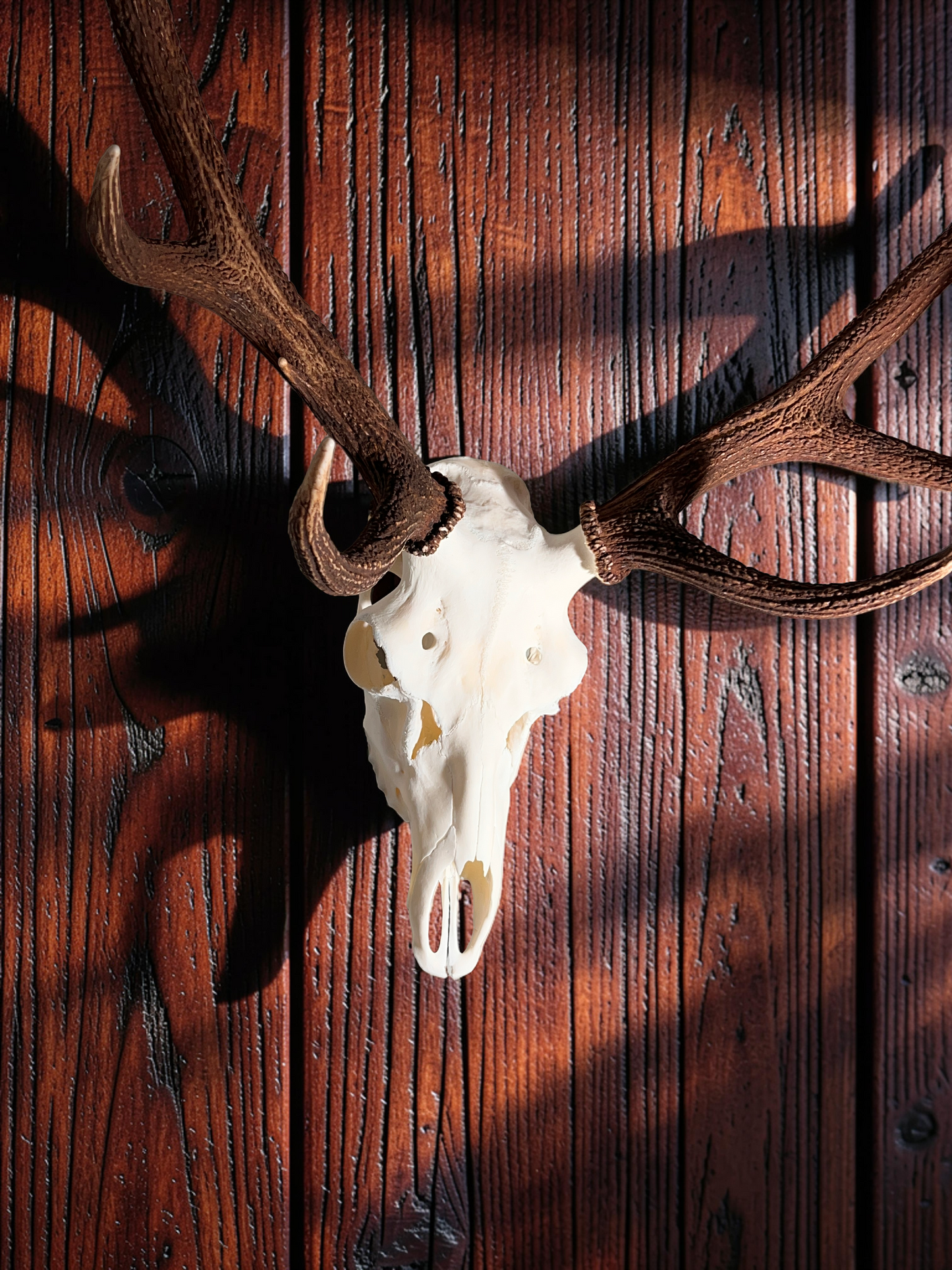 Deer Skull Hanger Wall Mount Kit
